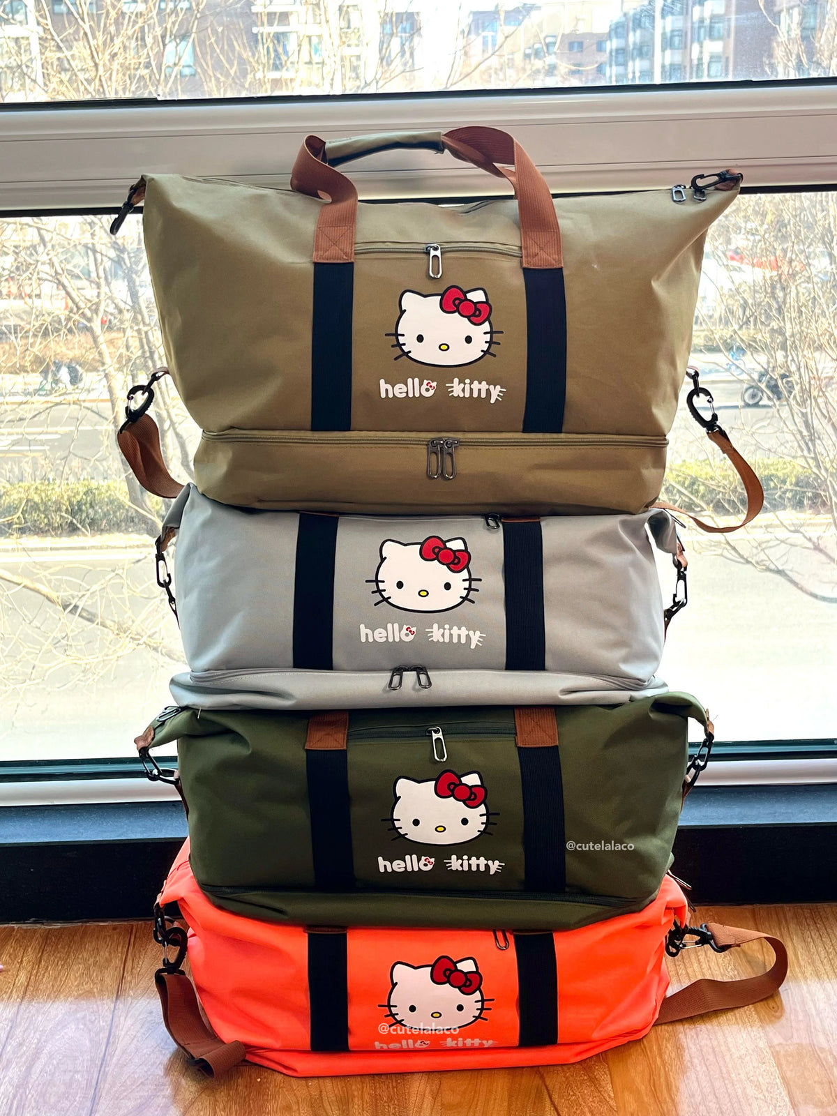 HK Travel Bag - Large Capacity Cartoon Luggage Bag, Shoulder & Crossbody Bag | Wet & Dry Separation Tote
