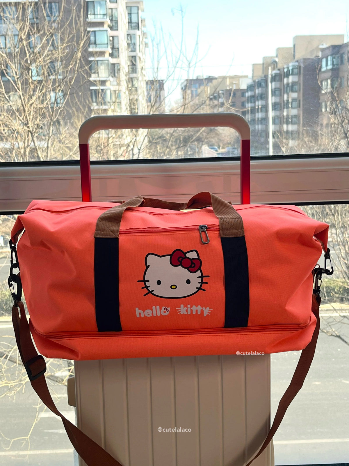 HK Travel Bag - Large Capacity Cartoon Luggage Bag, Shoulder & Crossbody Bag | Wet & Dry Separation Tote