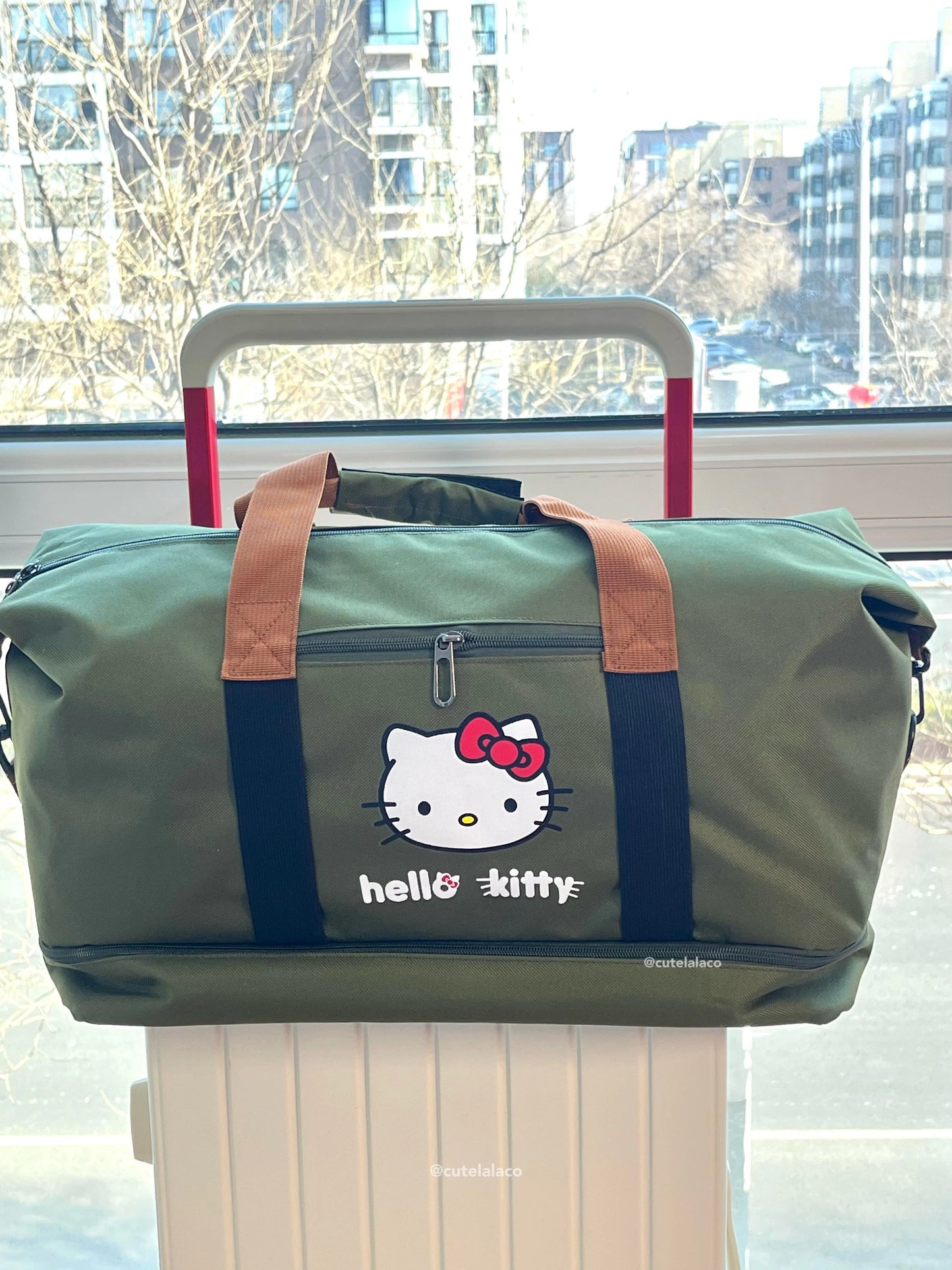 HK Travel Bag - Large Capacity Cartoon Luggage Bag, Shoulder & Crossbody Bag | Wet & Dry Separation Tote