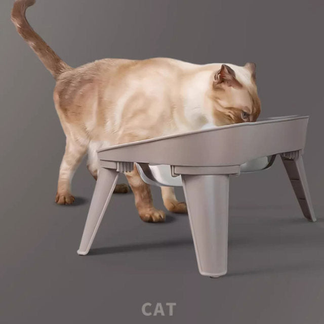 Pet feeding bowl with stand