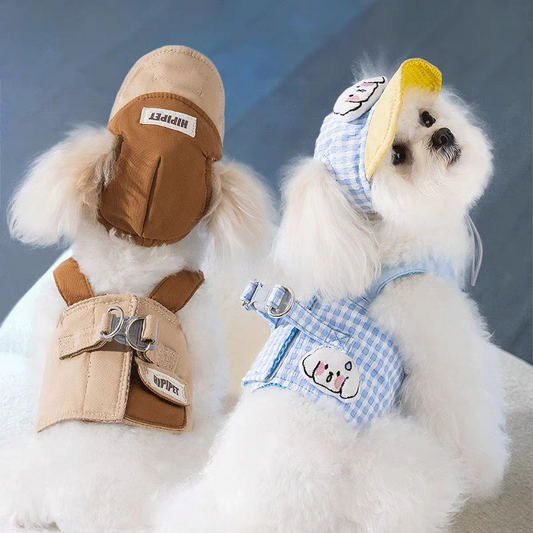 Cute pet harness with hat