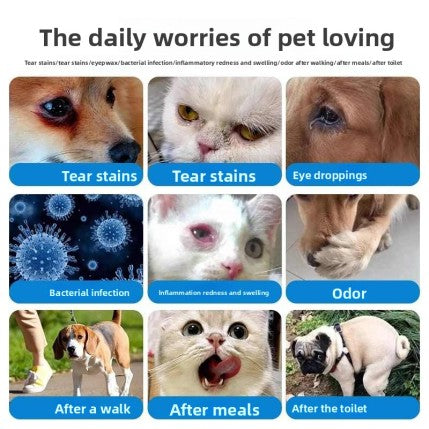 Special Pet Wet Tissues