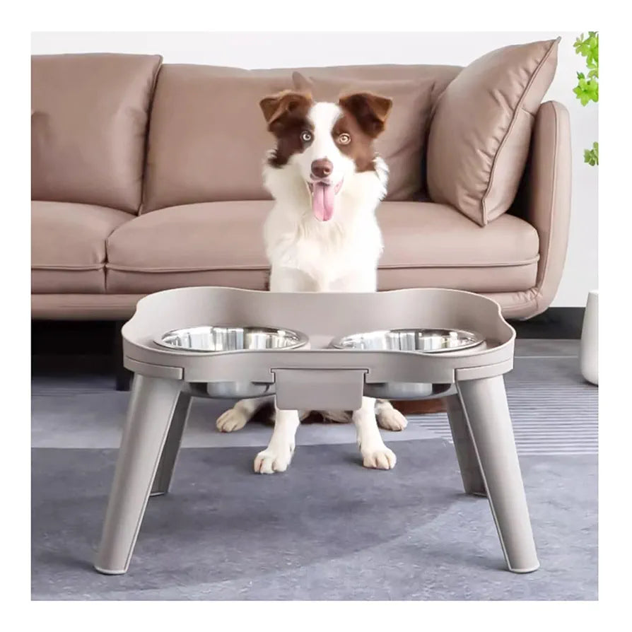 Pet feeding bowl with stand