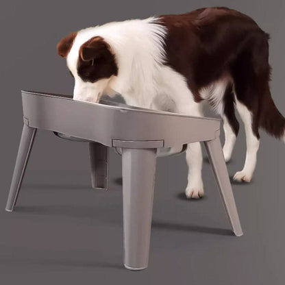 Pet feeding bowl with stand