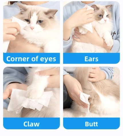 Special Pet Wet Tissues