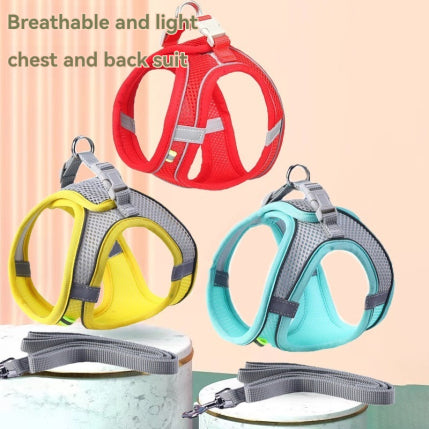 Pet Outgoing Harness