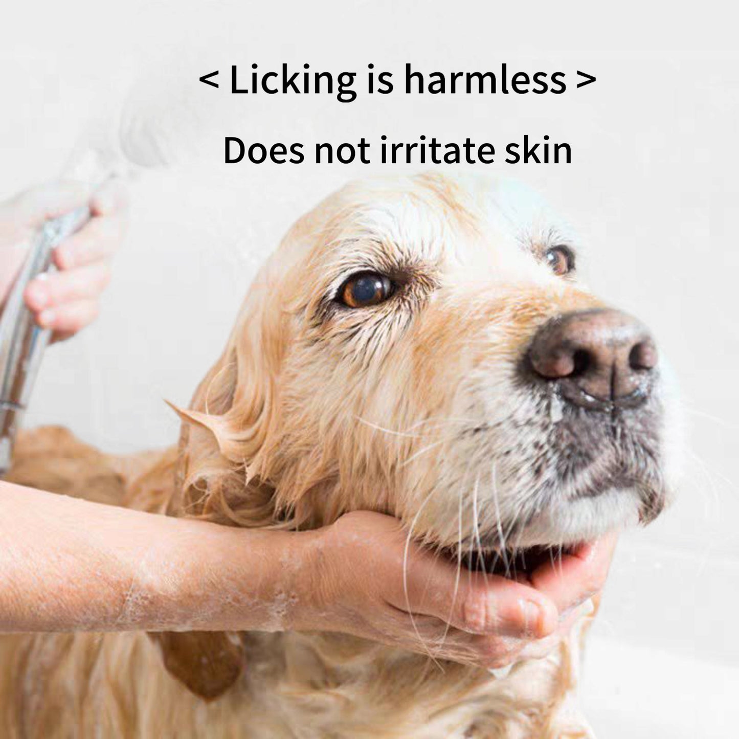 Pet Shampoo clean & clear+ Free bath brush