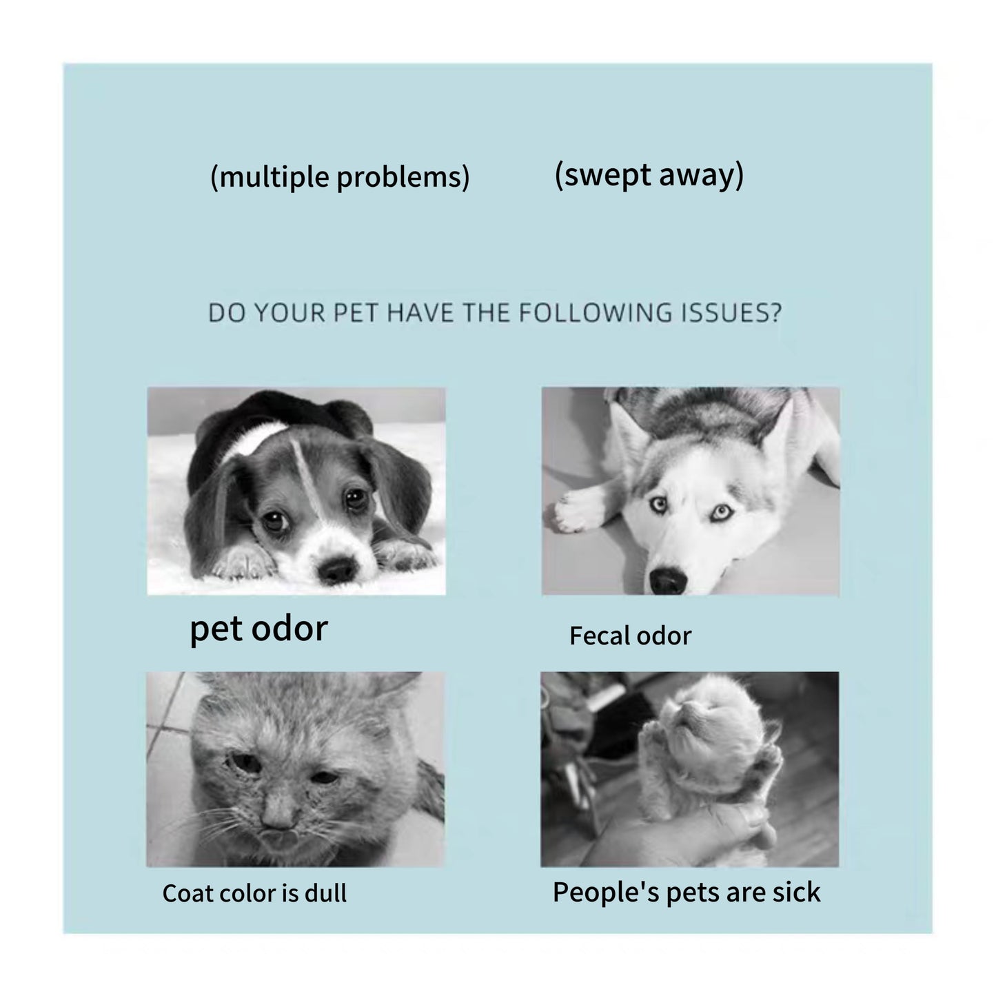 Pet Shampoo clean & clear+ Free bath brush