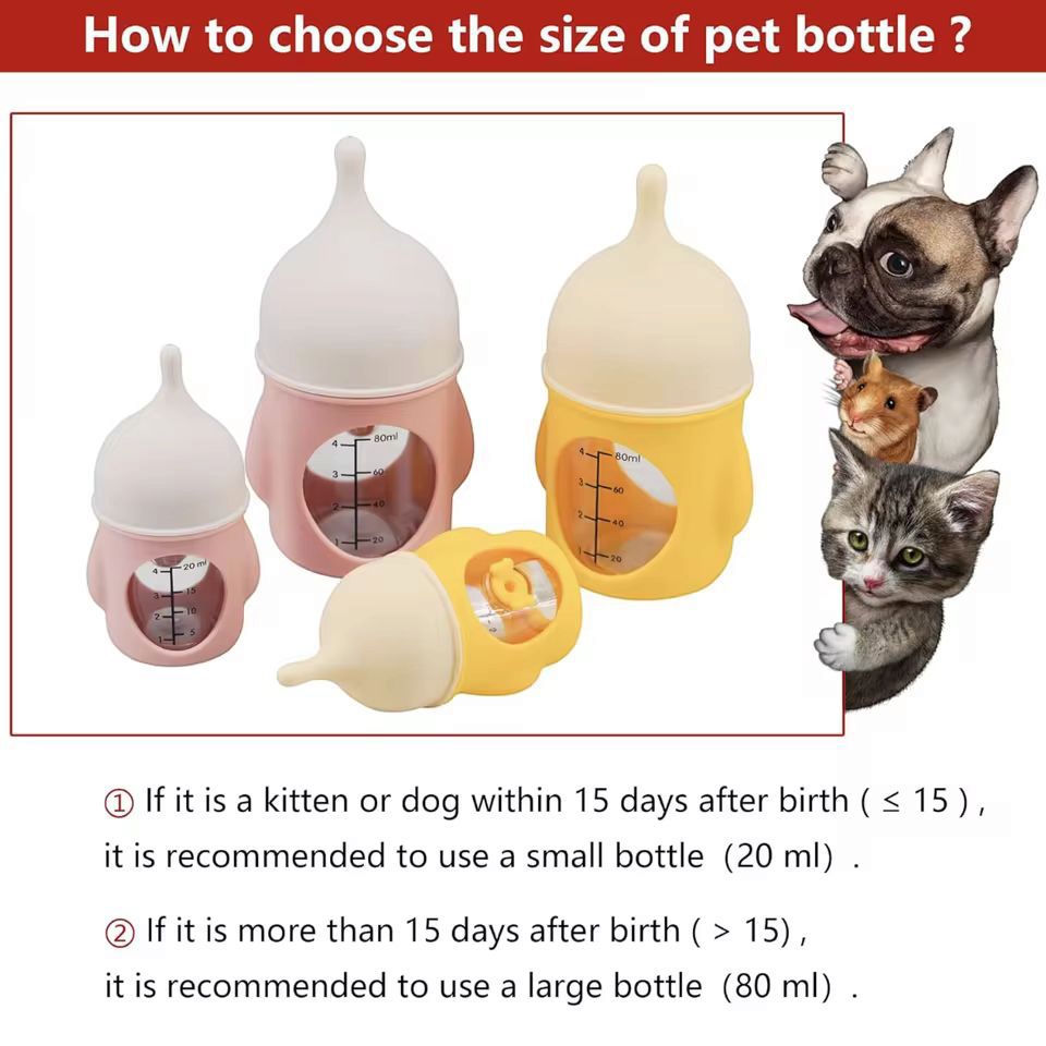 Pet feeding bottle